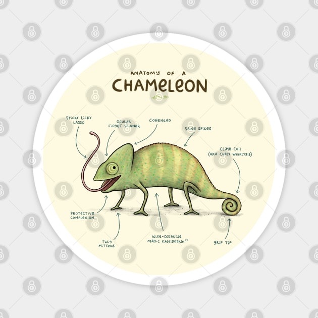 Anatomy of a Chameleon Magnet by Sophie Corrigan